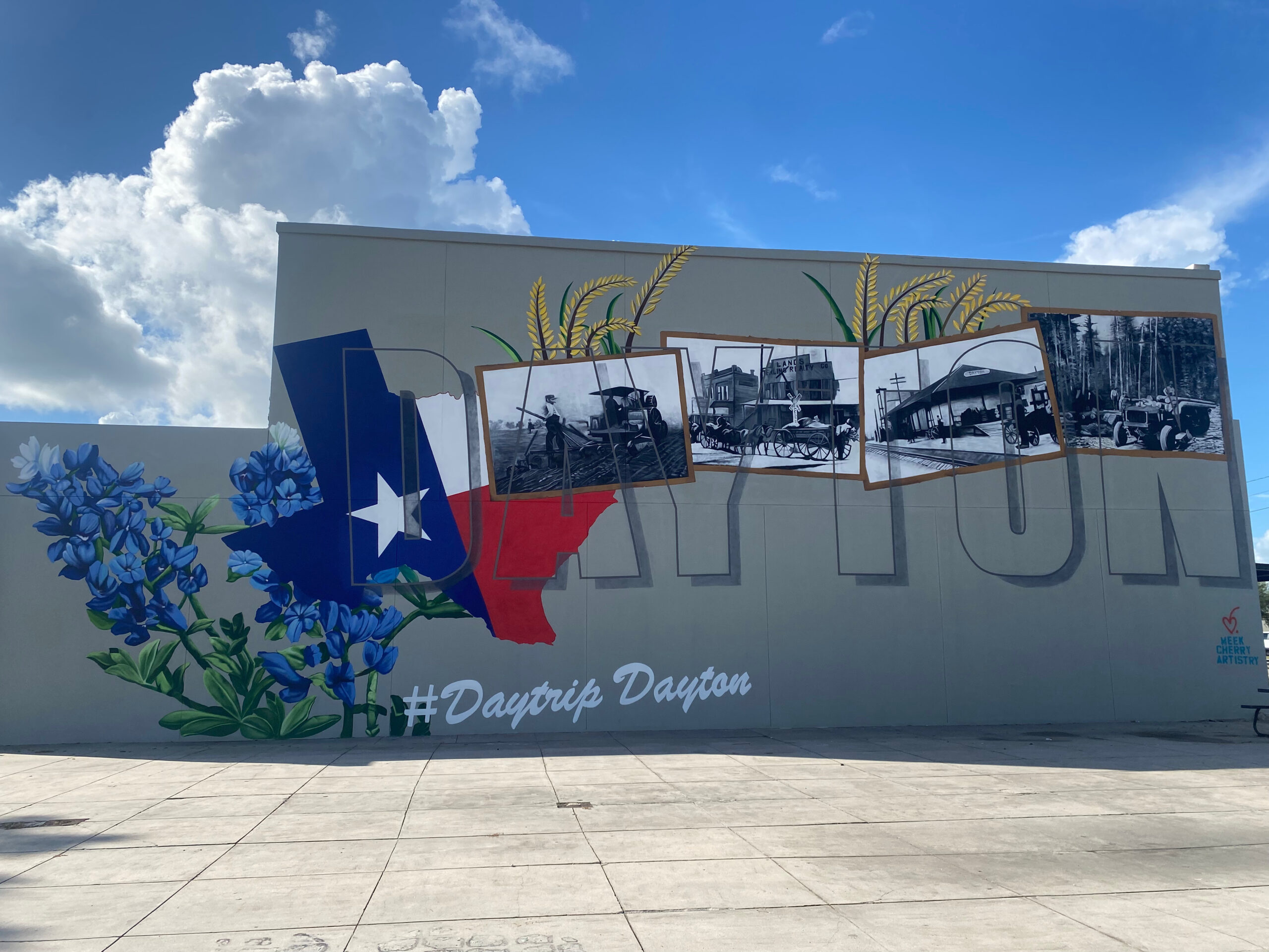 Texas Kountry Kitchen daytonmural