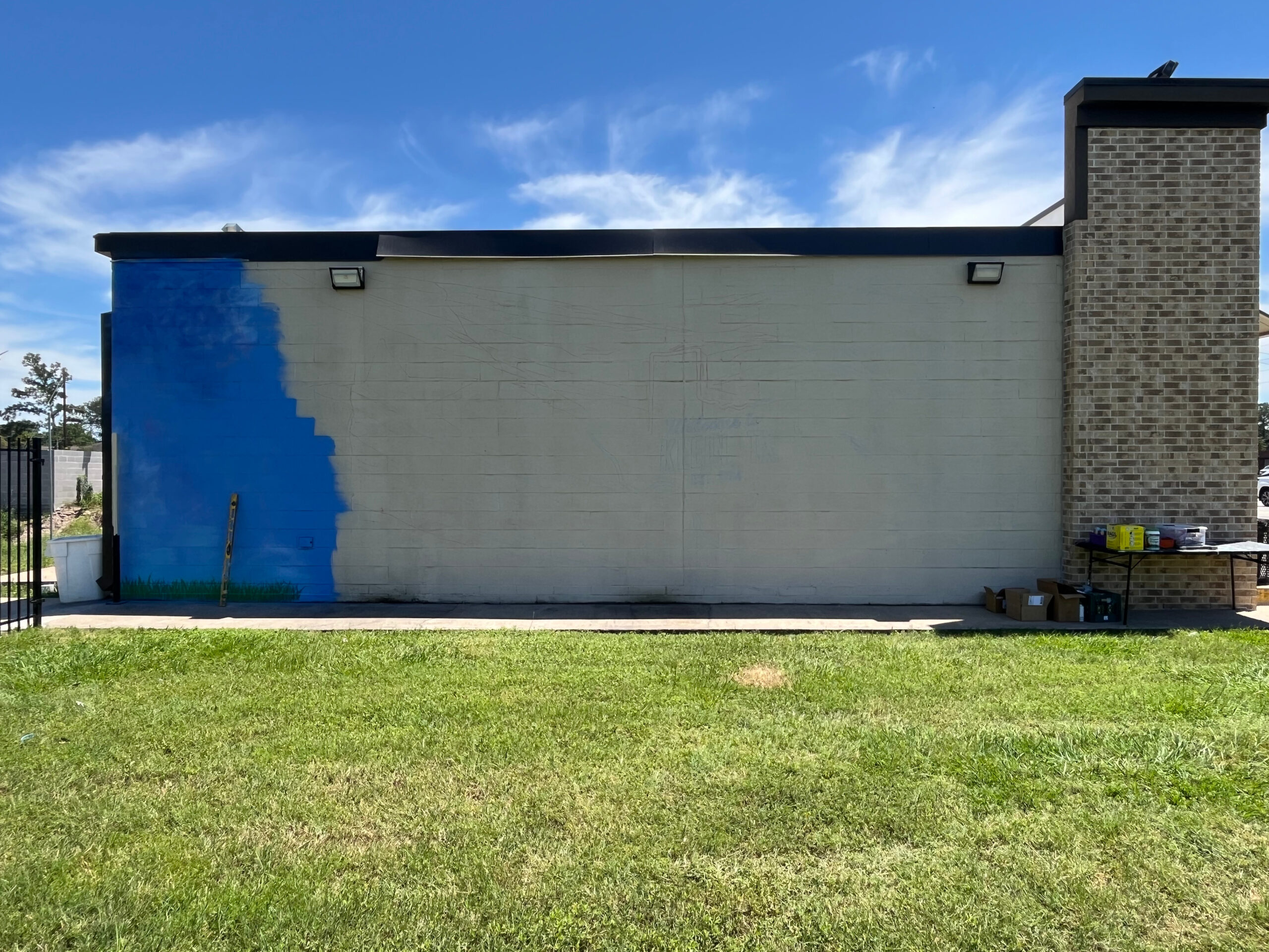 Klein Texas Flag Mural img 9609